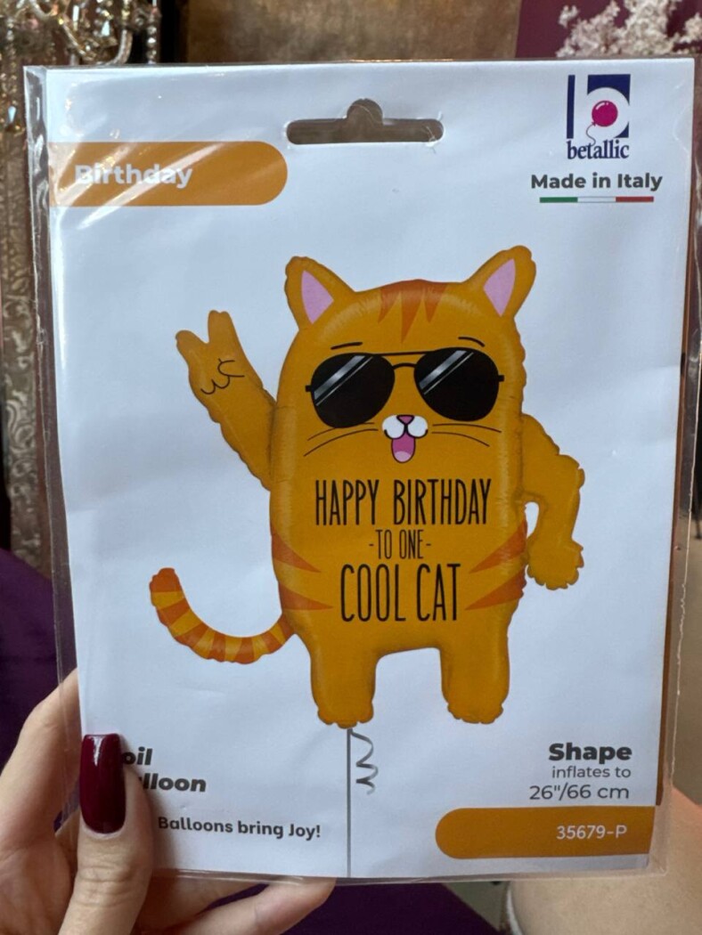 Шар фольга Кот HB — изображение 1