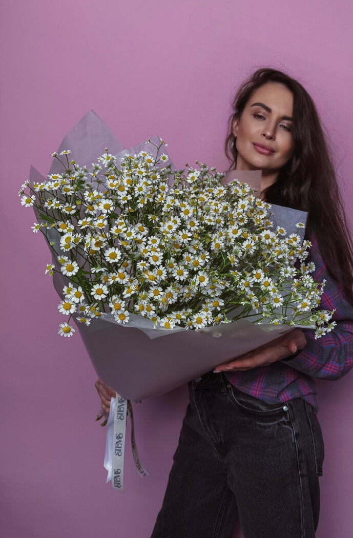 Танацетум Матрикария Байя — изображение 1