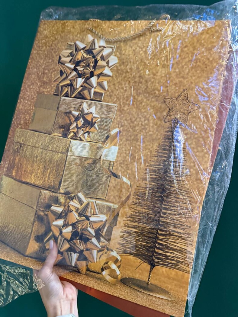 Пакет подарочный 43*50* — изображение 1